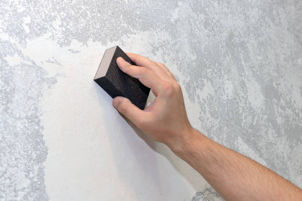Best Mold Removal for HVAC Installations  in Kitsap Lake, WA