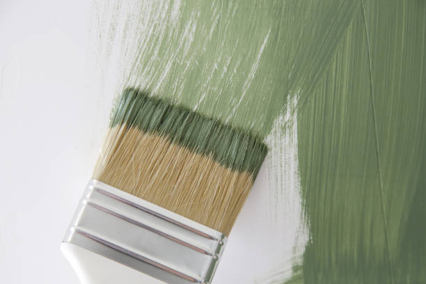 Best Basement Mold Removal  in Kitsap Lake, WA