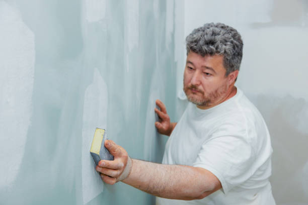 Mold Removal for HVAC Installations in Kitsap Lake, WA