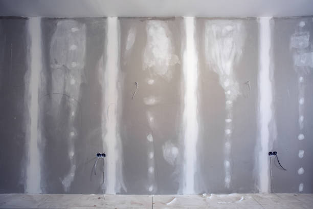 Trusted Kitsap Lake, WA Mold Removal Experts